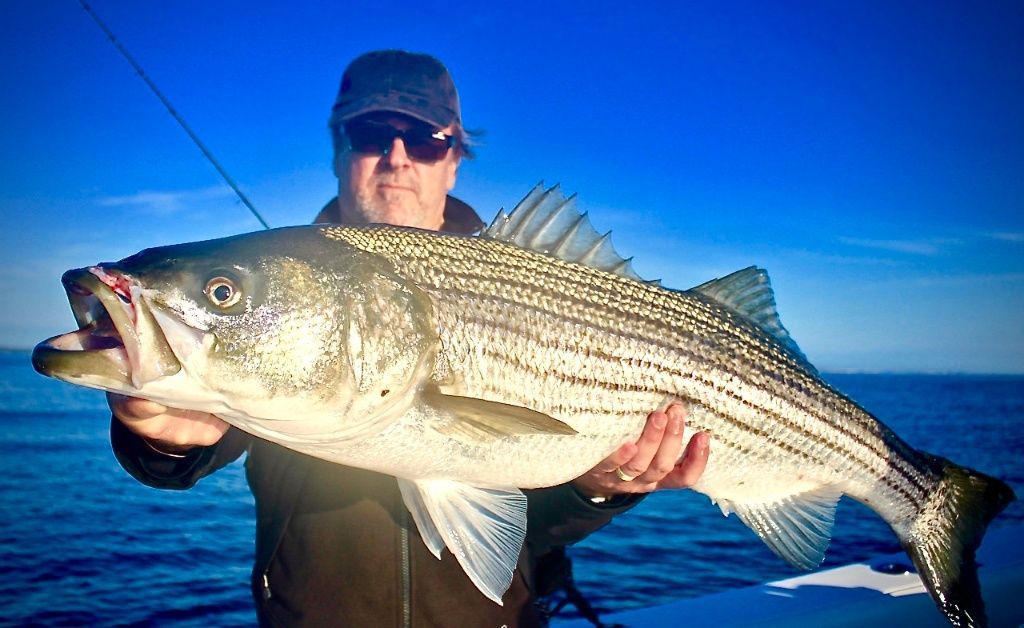 Charter Fishing Portsmouth | 4HRS to 6HRS Striper and Mackerel Fishing
